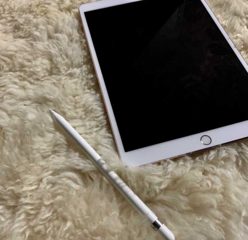 Apple iPad Pro（第2世代）10.5インチタブレット本体とApple Pencil