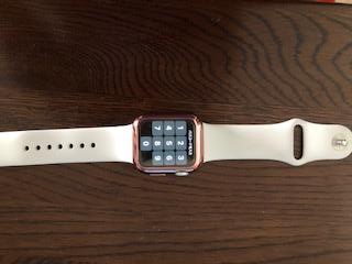 Apple Watch Series 6スマートウォッチのベルト